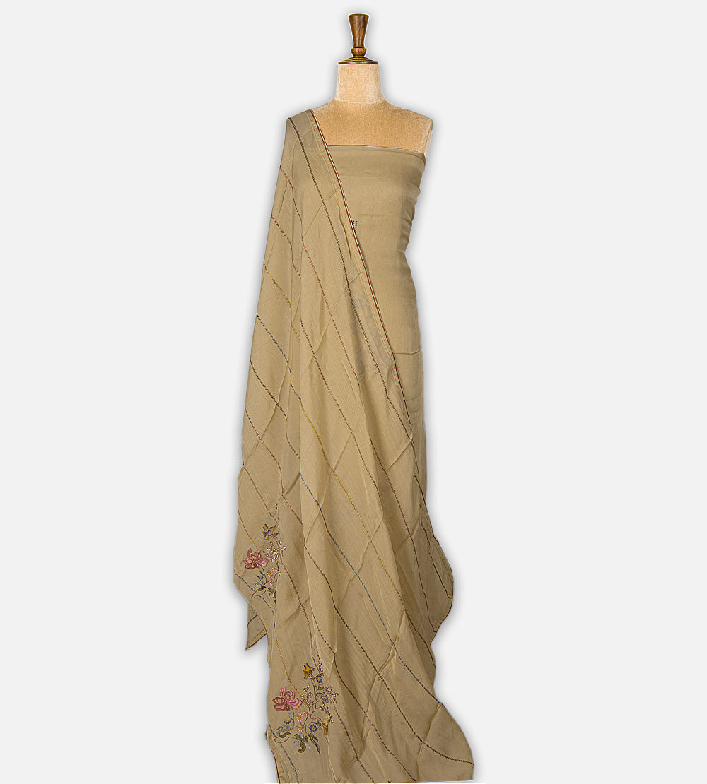 Beige Organza Salwar