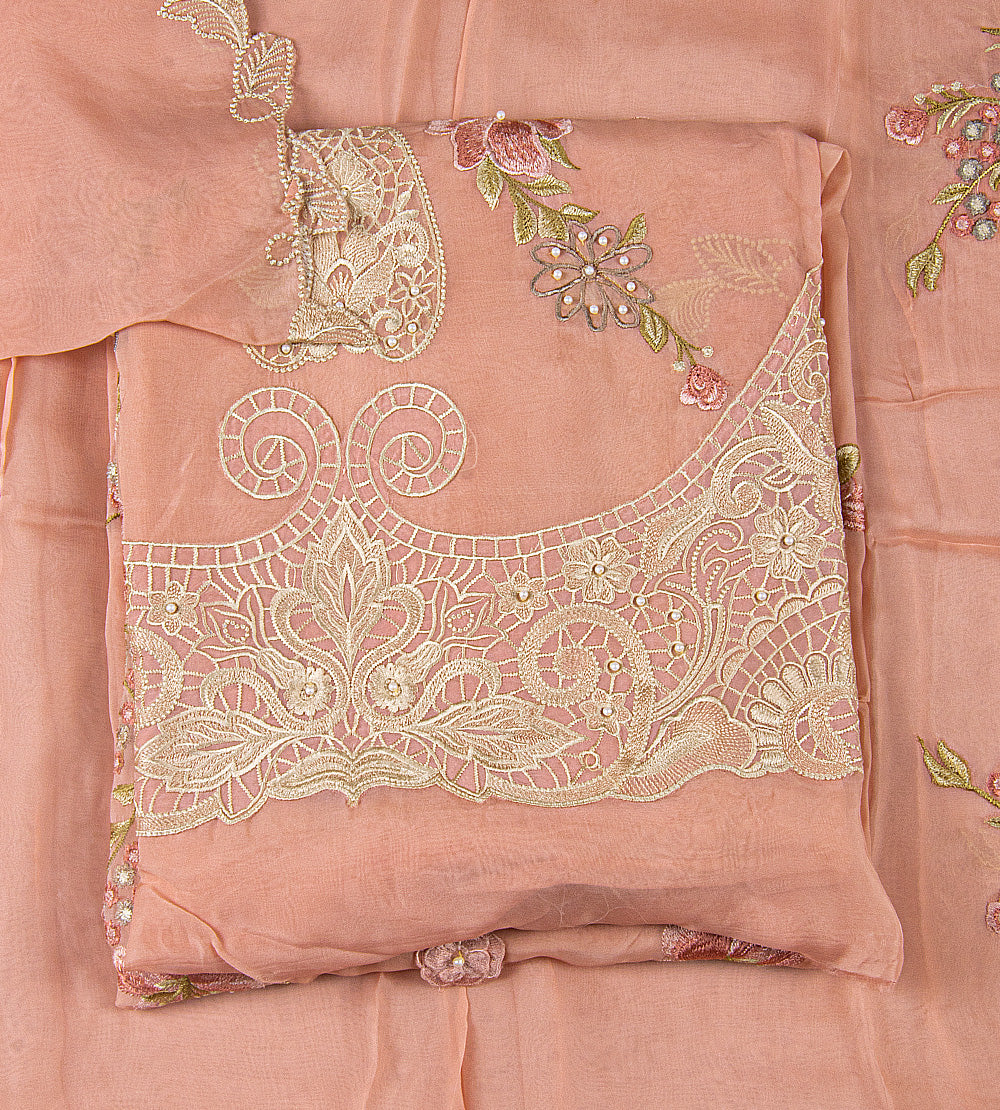 Dusty rose pink Organza Salwar