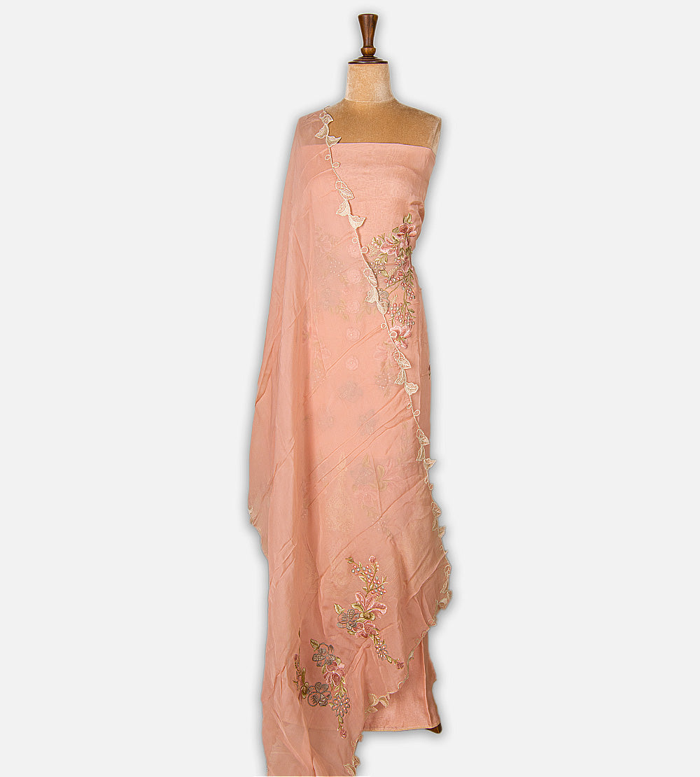 Dusty rose pink Organza Salwar