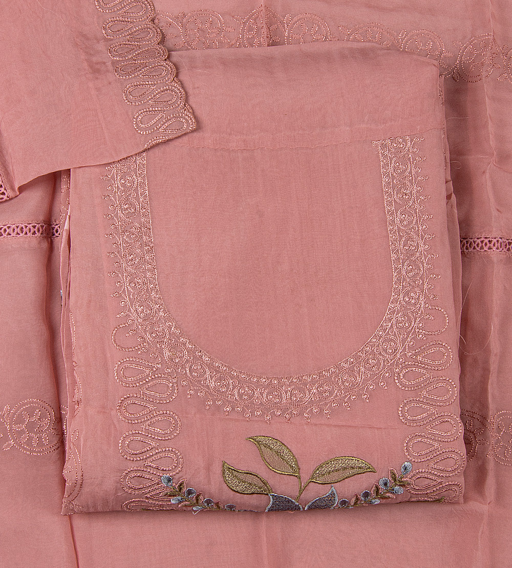 Pink Organza Salwar
