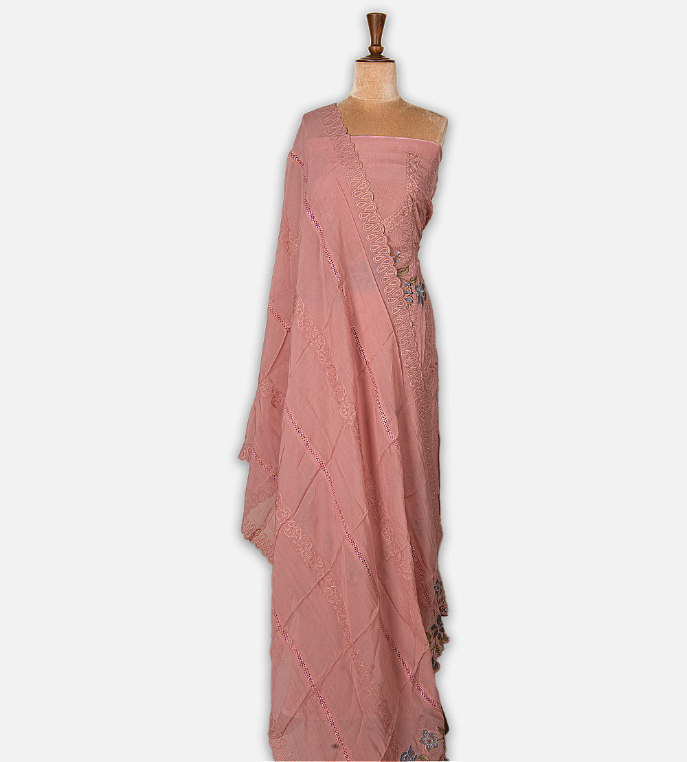 Pink Organza Salwar