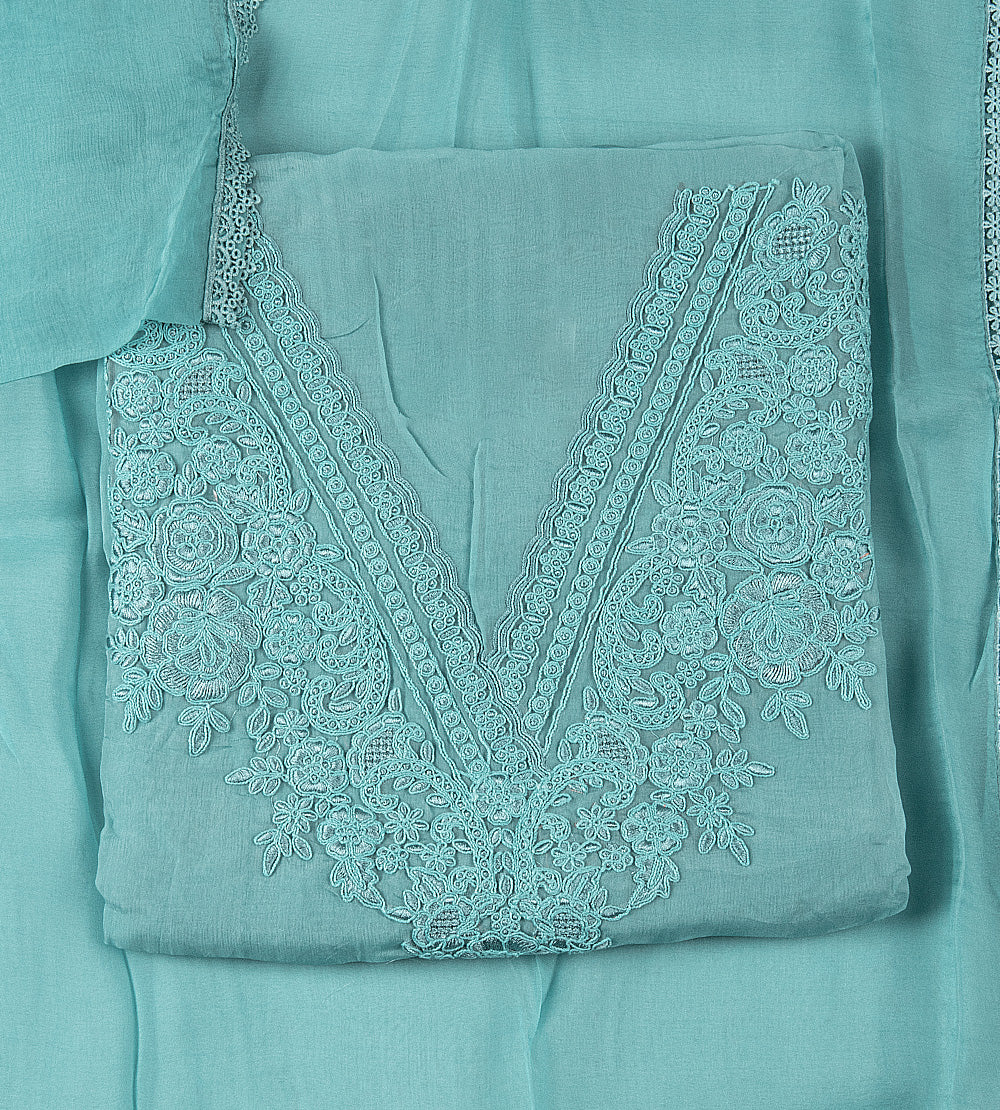 Blue Organza Salwar