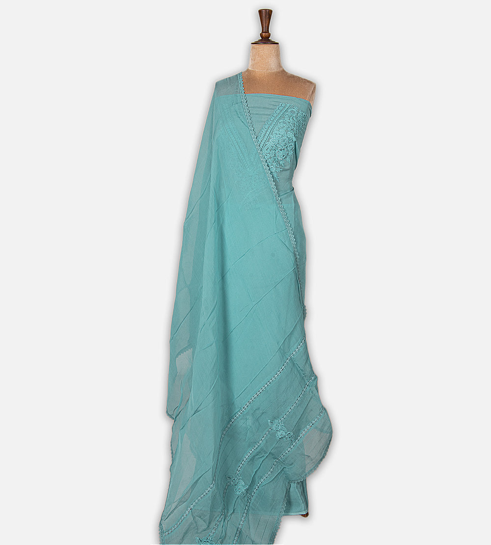 Blue Organza Salwar