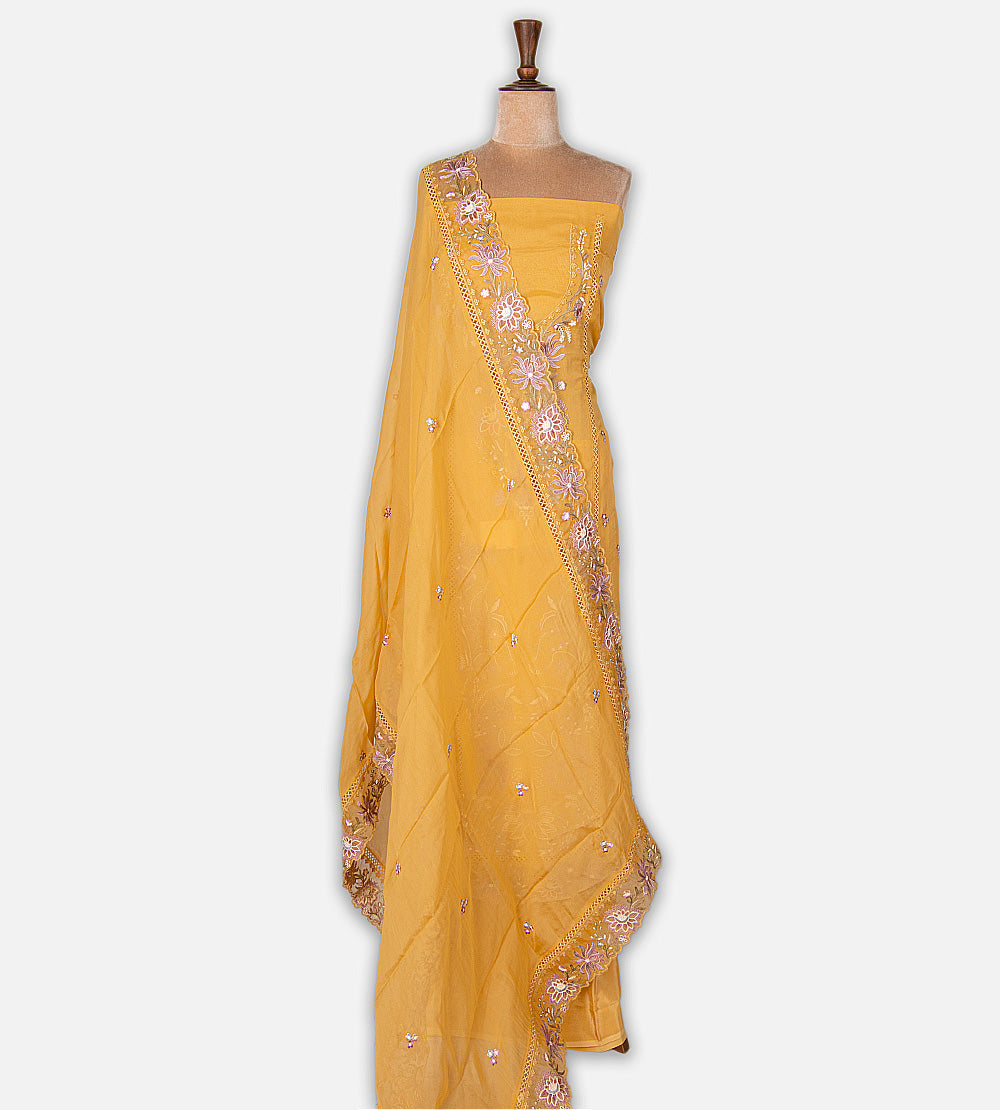 Yellow Organza Salwar
