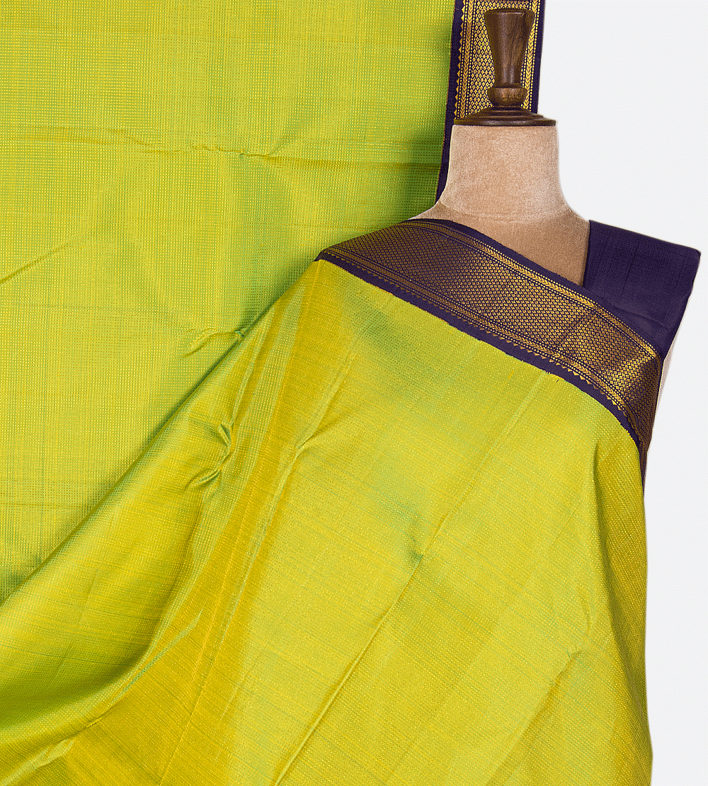 Light Green Kanchipuram Silk Saree