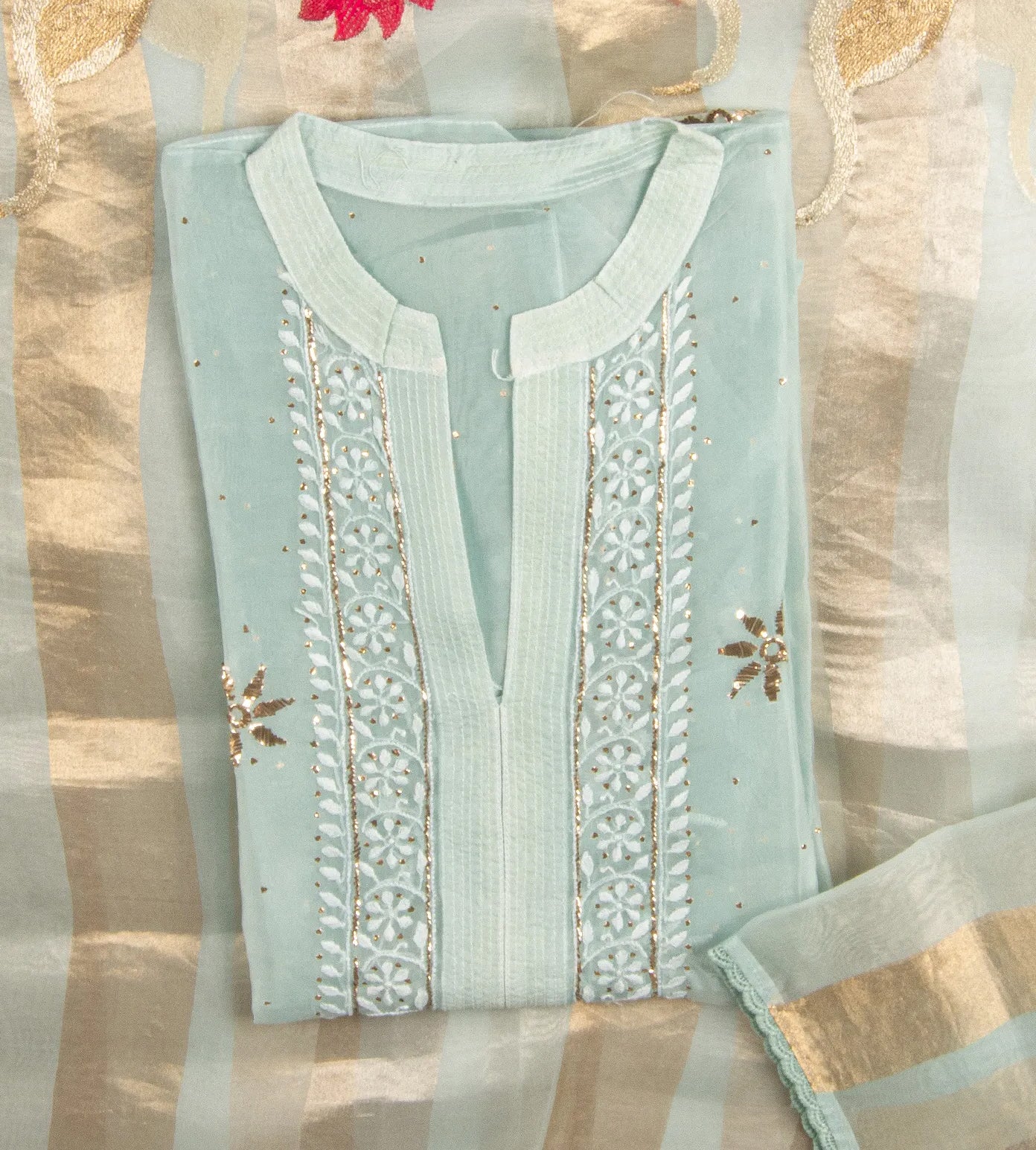 Pastel Blue Organza Salwar